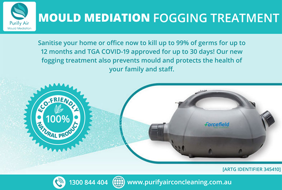 Mould Mediation and Fogging Treatment